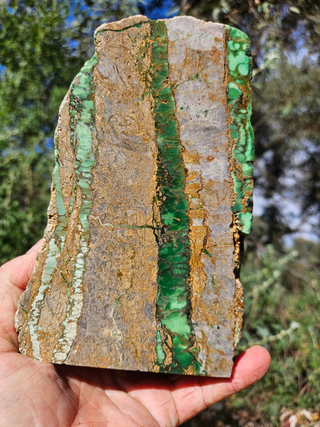 Polished Variscite   VP293
