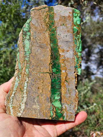Polished Variscite   VP293