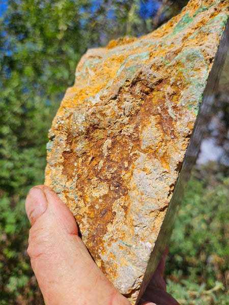 Polished Variscite   VP293