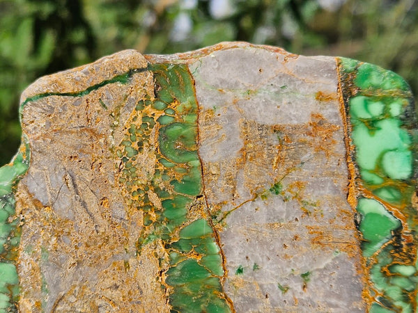 Polished Variscite   VP293