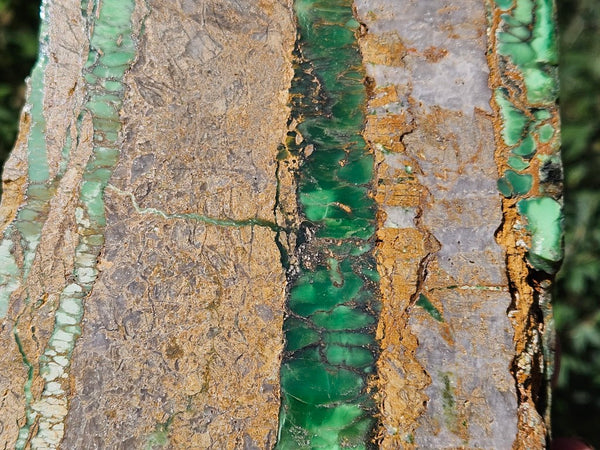 Polished Variscite   VP293