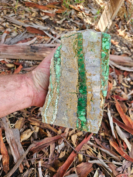 Polished Variscite   VP293