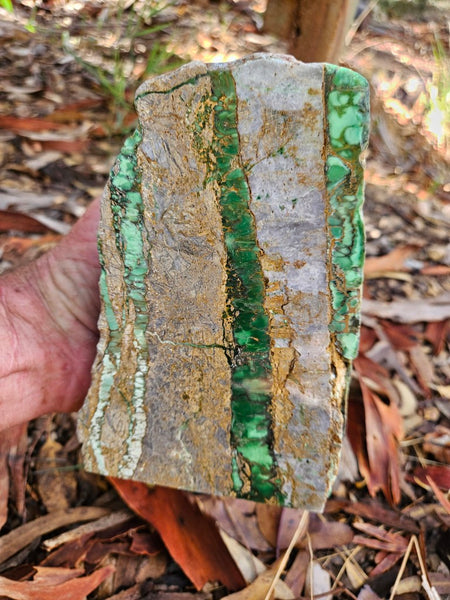 Polished Variscite   VP293
