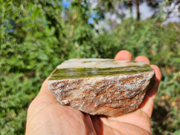 Epidote, Quartz & Axinite EPI82