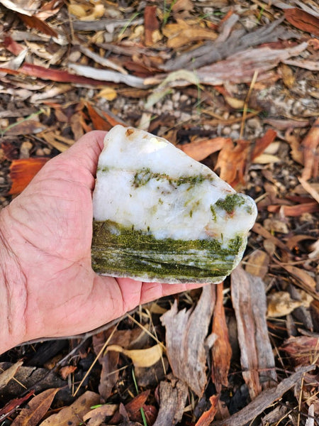 Epidote, Quartz & Axinite EPI82
