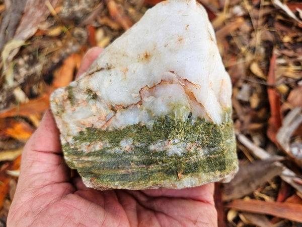 Epidote, Quartz & Axinite EPI82