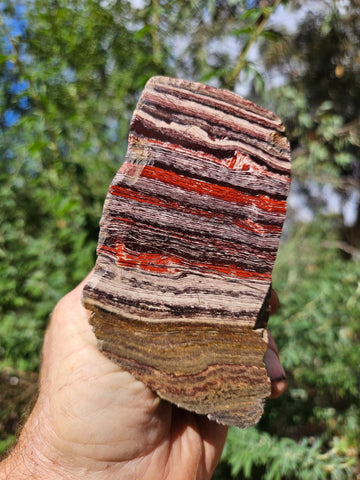 Polished Snakeskin Jasper SS201