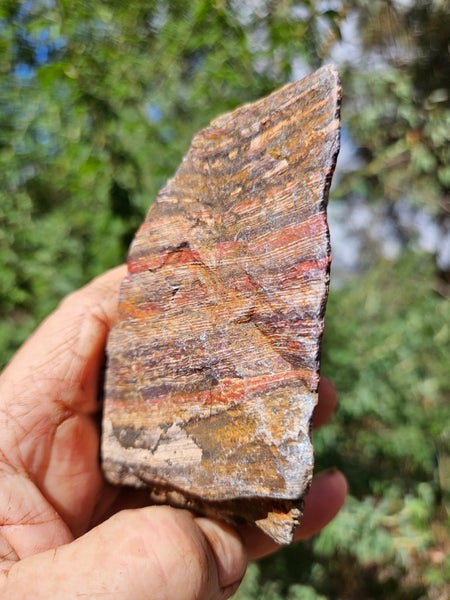 Polished Snakeskin Jasper SS201