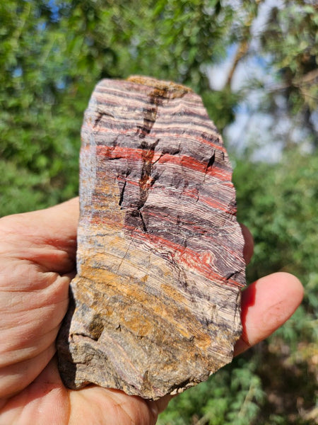 Polished Snakeskin Jasper SS201