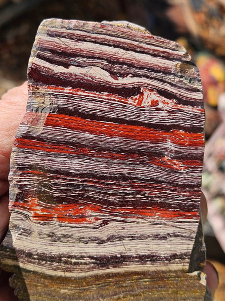 Polished Snakeskin Jasper SS201