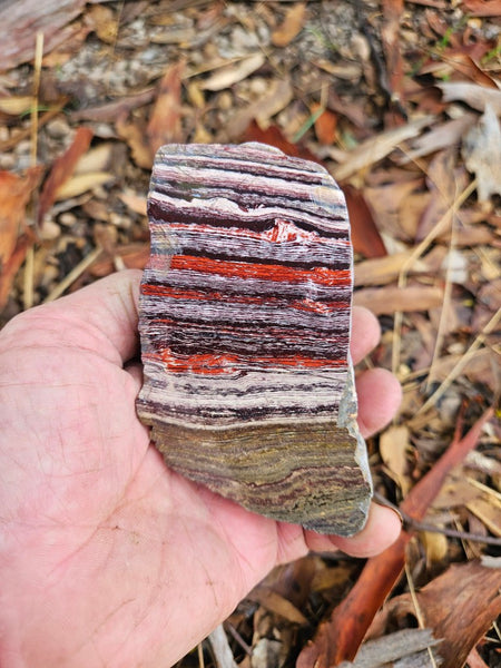 Polished Snakeskin Jasper SS201