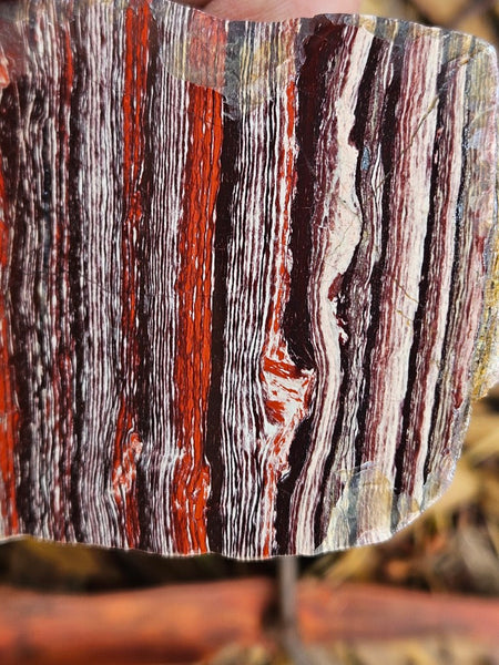 Polished Snakeskin Jasper SS201