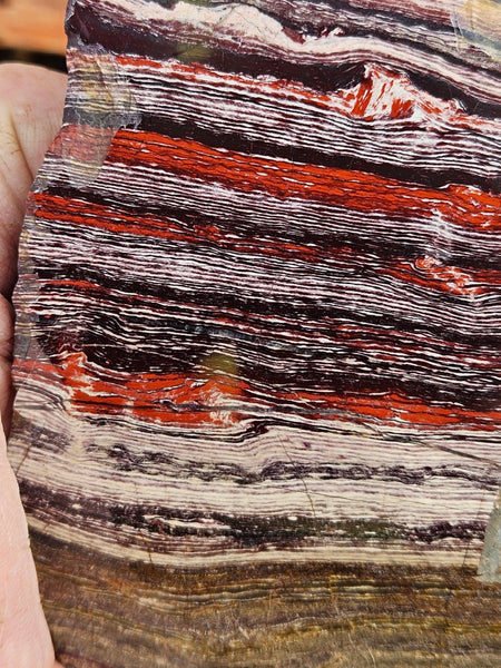 Polished Snakeskin Jasper SS201