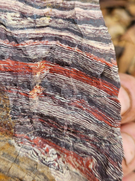Polished Snakeskin Jasper SS201
