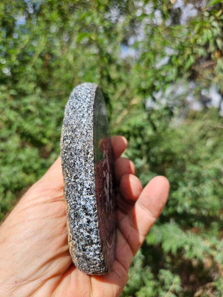 Polished Orbicular Granite. OG212