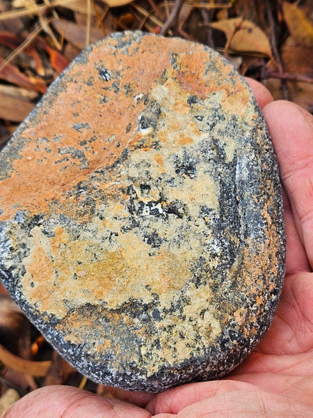 Polished Orbicular Granite. OG212