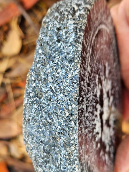Polished Orbicular Granite. OG212