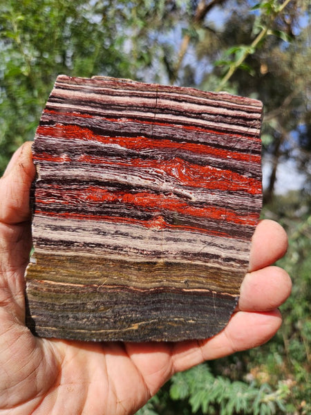 Polished  Snakeskin Jasper slab SS200