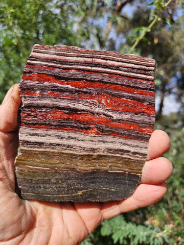 Polished  Snakeskin Jasper slab SS200