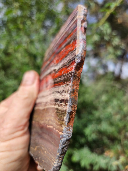 Polished  Snakeskin Jasper slab SS200