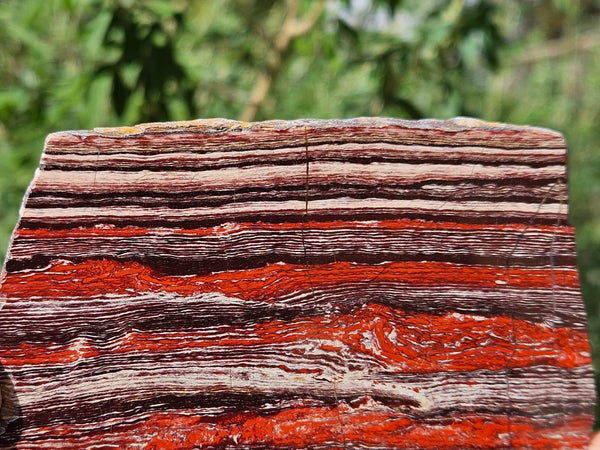 Polished  Snakeskin Jasper slab SS200