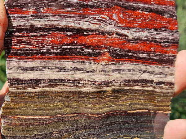 Polished  Snakeskin Jasper slab SS200