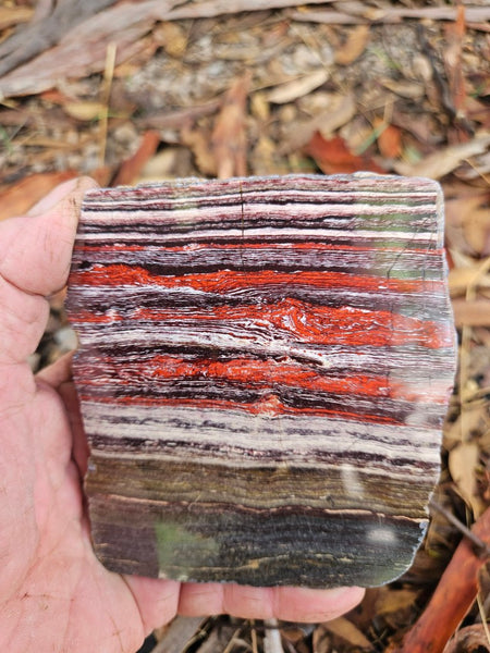 Polished  Snakeskin Jasper slab SS200