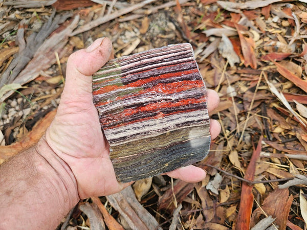 Polished  Snakeskin Jasper slab SS200