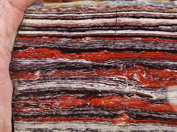 Polished  Snakeskin Jasper slab SS200