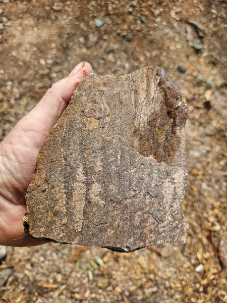 Tiger Iron rough rock TIR177