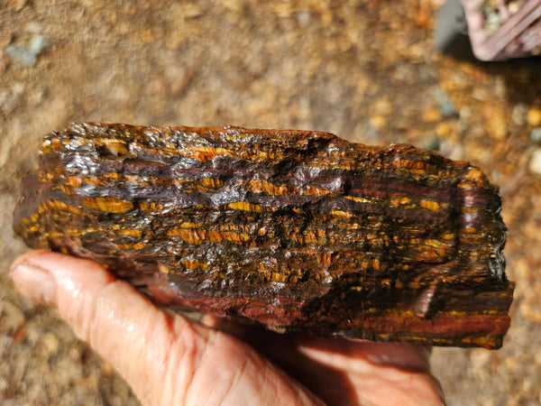 Tiger Iron rough rock TIR177