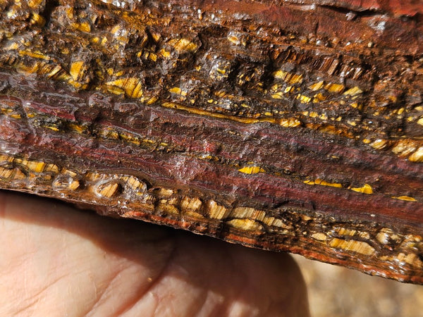 Tiger Iron rough rock TIR177
