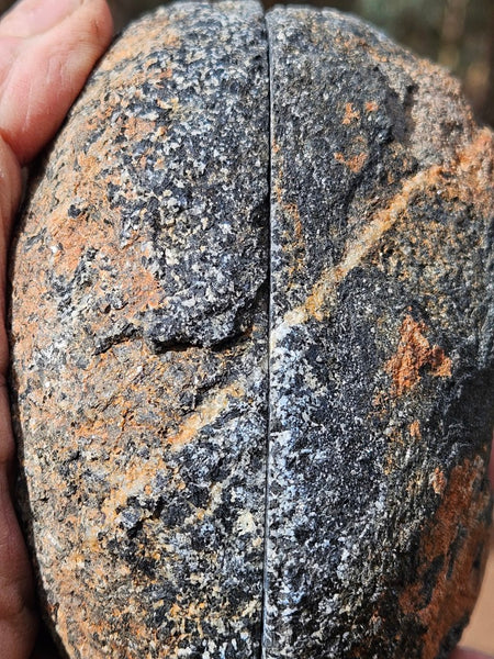 Pair of polished Orbicular Granite. OG213