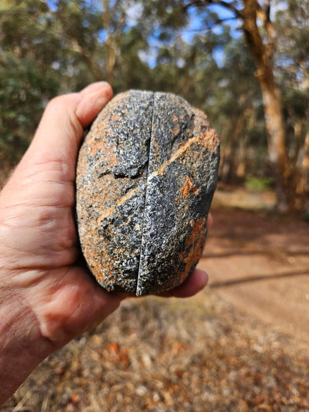 Pair of polished Orbicular Granite. OG213