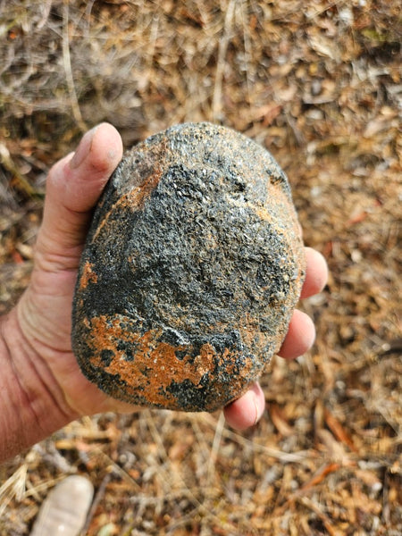 Pair of polished Orbicular Granite. OG213