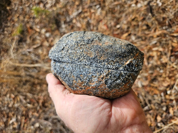 Pair of polished Orbicular Granite. OG213