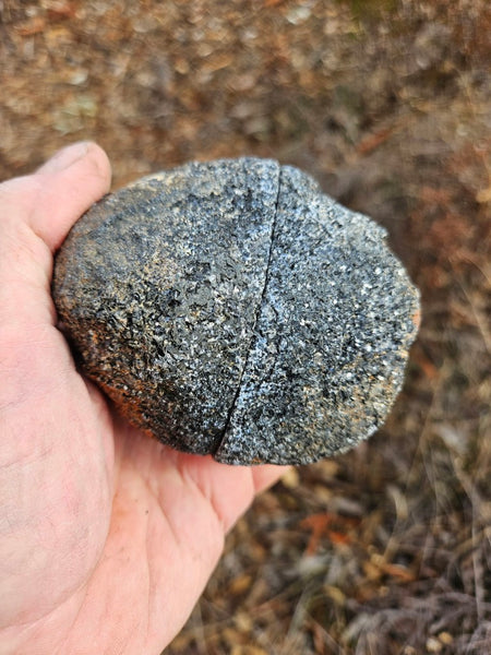 Pair of polished Orbicular Granite. OG214