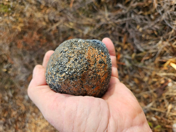 Pair of polished Orbicular Granite. OG214
