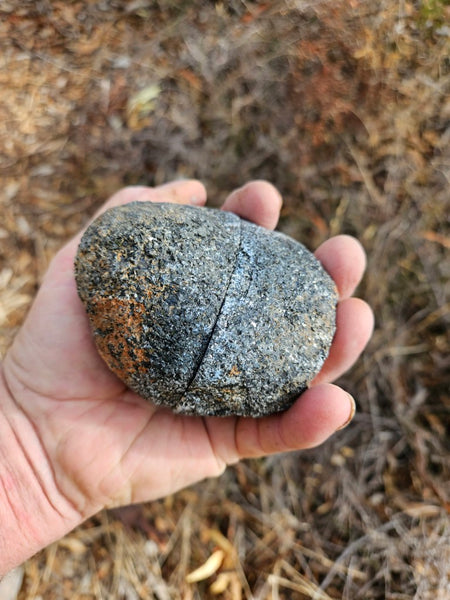 Pair of polished Orbicular Granite. OG214