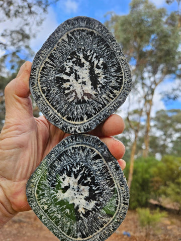 Pair of polished Orbicular Granite. OG215