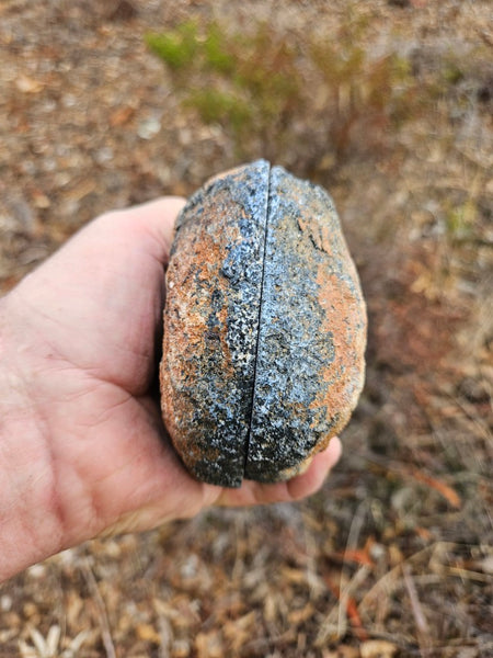 Pair of polished Orbicular Granite. OG215