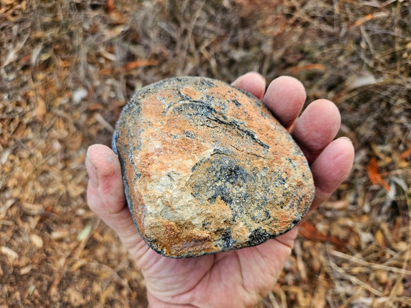 Pair of polished Orbicular Granite. OG215