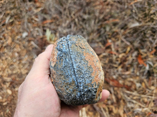 Pair of polished Orbicular Granite. OG215