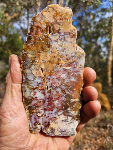 Polished Dendritic Opal slab DO216