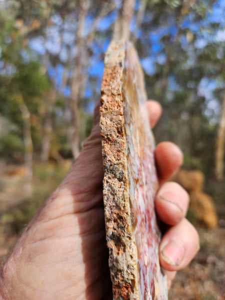 Polished Dendritic Opal slab DO216