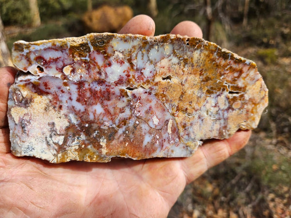 Polished Dendritic Opal slab DO216