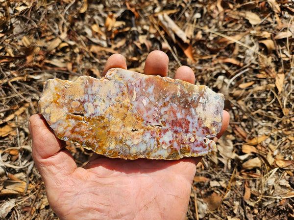 Polished Dendritic Opal slab DO216