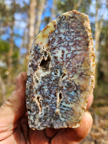 Polished Dendritic Opal DO218