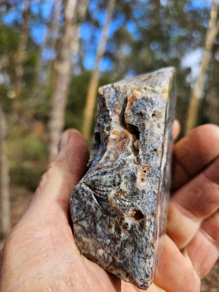 Polished Dendritic Opal DO218