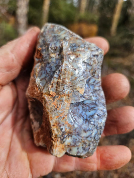 Polished Dendritic Opal DO218